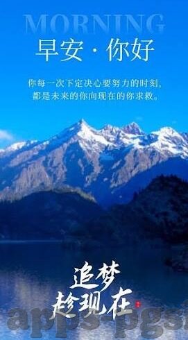 98年世界杯伊朗名单-1998年世界杯伊朗国家队阵容回顾，铁血与梦想的碰撞