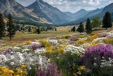 星空体育是不是假的-星空体育真实性剖析